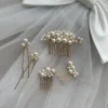 Vintage Queen Veil